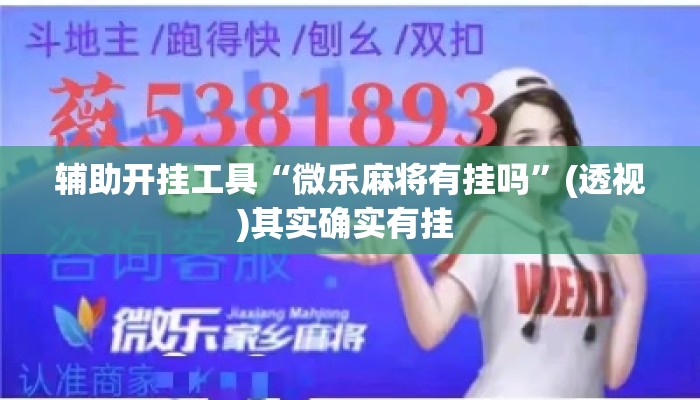 辅助开挂工具“微乐麻将有挂吗”(透视)其实确实有挂 