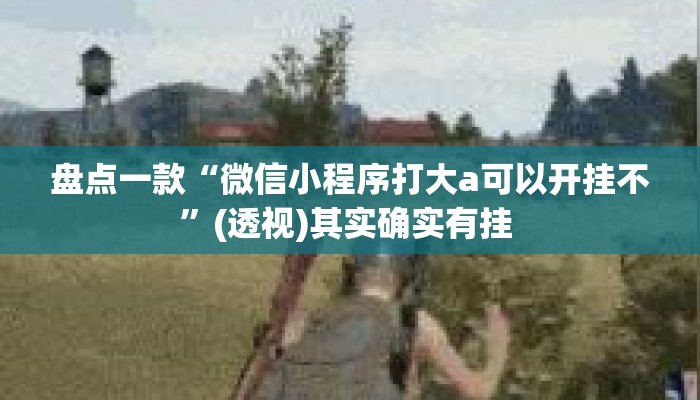 盘点一款“微信小程序打大a可以开挂不	”(透视)其实确实有挂 