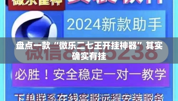 盘点一款“微乐二七王开挂神器”其实确实有挂