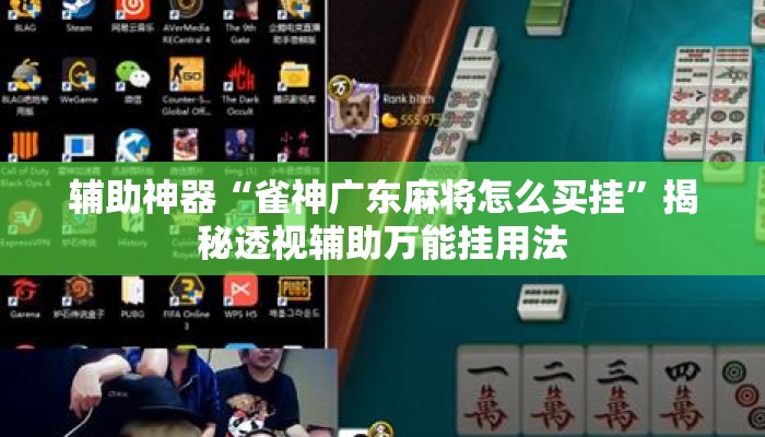 辅助神器“雀神广东麻将怎么买挂”揭秘透视辅助万能挂用法