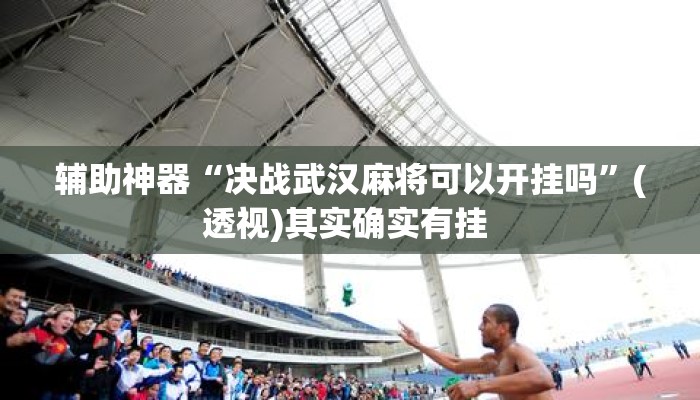 辅助神器“决战武汉麻将可以开挂吗”(透视)其实确实有挂 