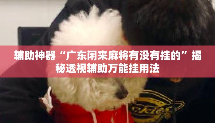 辅助神器“广东闲来麻将有没有挂的	”揭秘透视辅助万能挂用法
