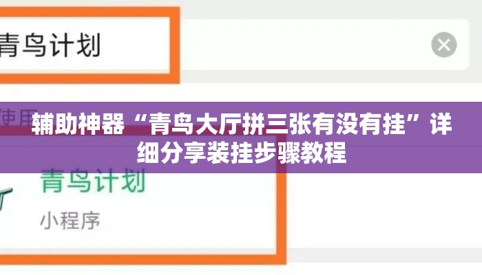 辅助神器“青鸟大厅拼三张有没有挂	”详细分享装挂步骤教程