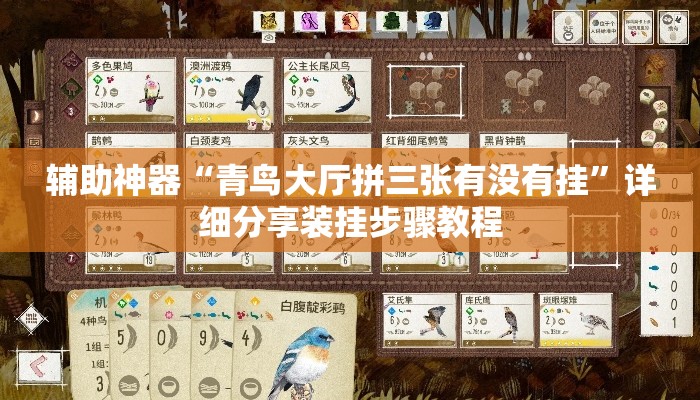 辅助神器“青鸟大厅拼三张有没有挂	”详细分享装挂步骤教程