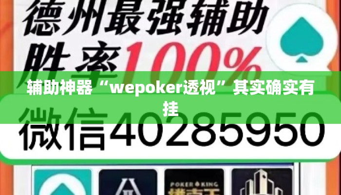 辅助神器“wepoker透视”其实确实有挂