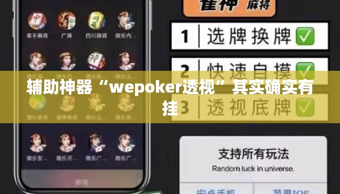 辅助神器“wepoker透视”其实确实有挂