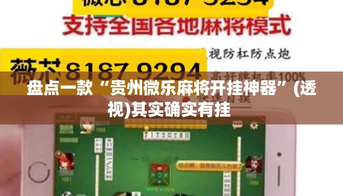 盘点一款“贵州微乐麻将开挂神器	”(透视)其实确实有挂 