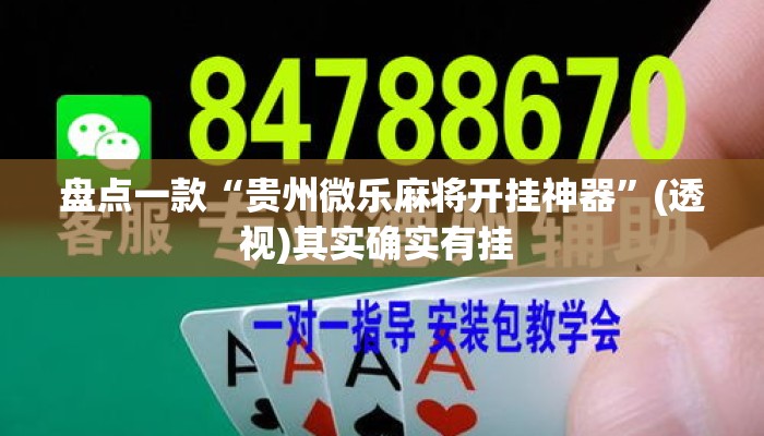 盘点一款“贵州微乐麻将开挂神器”(透视)其实确实有挂 