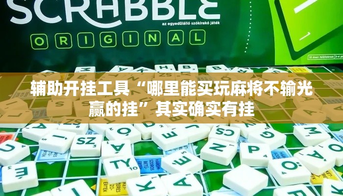 辅助开挂工具“哪里能买玩麻将不输光赢的挂”其实确实有挂