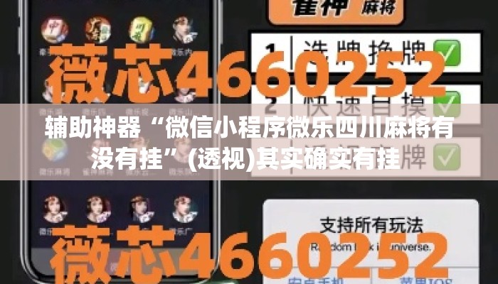 辅助神器“微信小程序微乐四川麻将有没有挂”(透视)其实确实有挂 