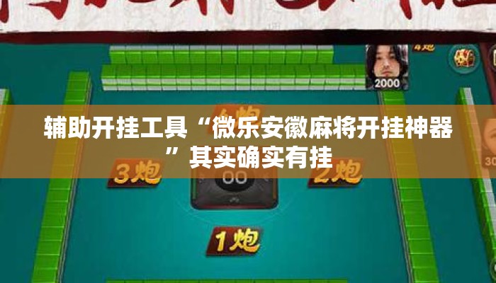 辅助开挂工具“微乐安徽麻将开挂神器”其实确实有挂