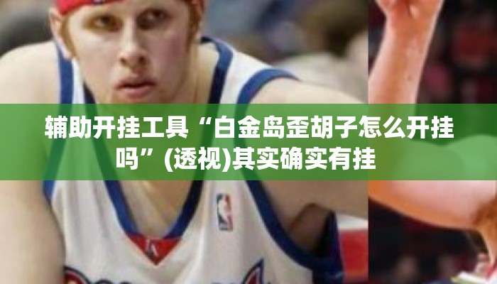 辅助开挂工具“白金岛歪胡子怎么开挂吗”(透视)其实确实有挂 