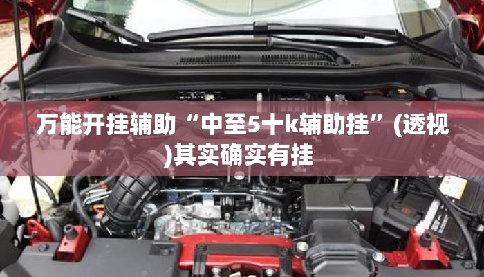 万能开挂辅助“中至5十k辅助挂”(透视)其实确实有挂 