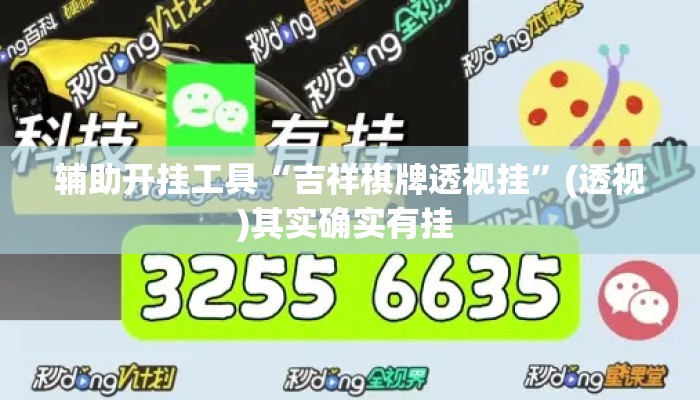 辅助开挂工具“吉祥棋牌透视挂”(透视)其实确实有挂 