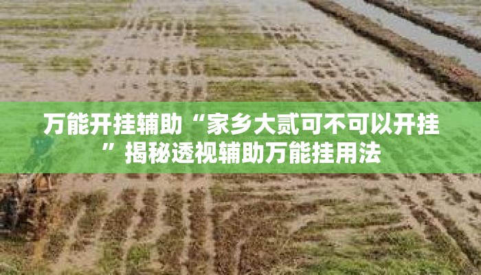 万能开挂辅助“家乡大贰可不可以开挂”揭秘透视辅助万能挂用法