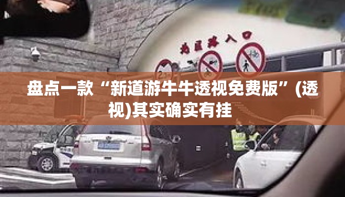 盘点一款“新道游牛牛透视免费版”(透视)其实确实有挂 
