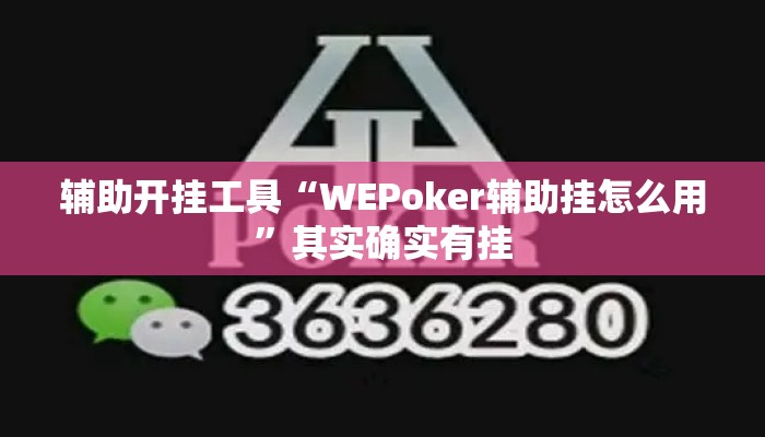 辅助开挂工具“WEPoker辅助挂怎么用	”其实确实有挂
