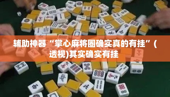 辅助神器“掌心麻将圈确实真的有挂”(透视)其实确实有挂 
