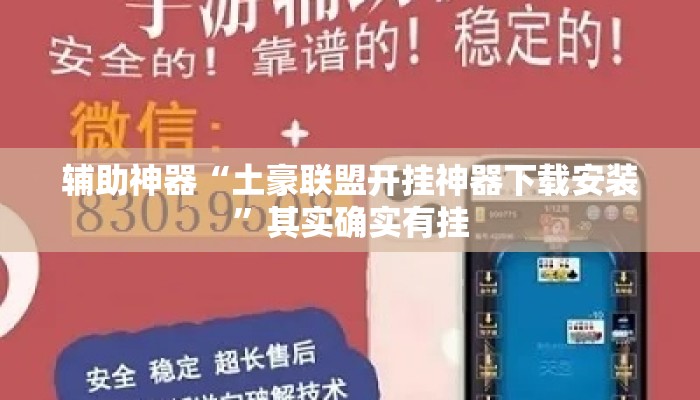 辅助神器“土豪联盟开挂神器下载安装”其实确实有挂