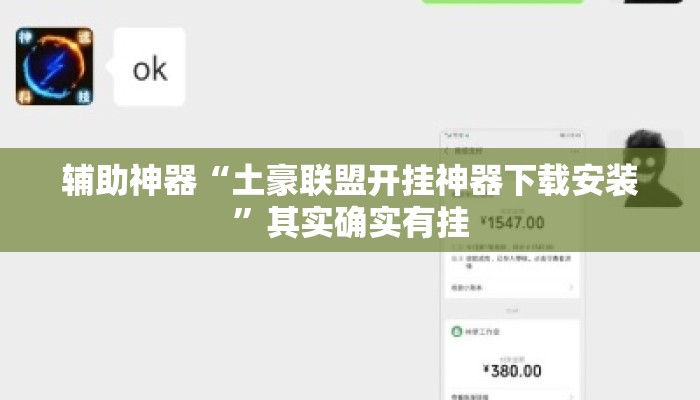 辅助神器“土豪联盟开挂神器下载安装”其实确实有挂