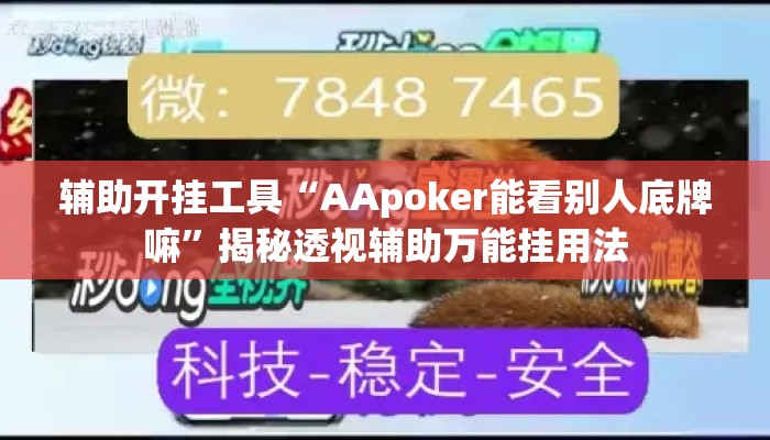 辅助开挂工具“AApoker能看别人底牌嘛”揭秘透视辅助万能挂用法