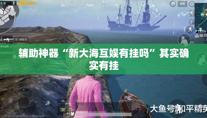 辅助神器“新大海互娱有挂吗”其实确实有挂