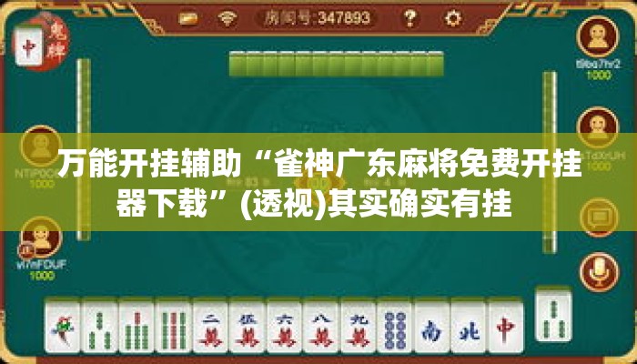 万能开挂辅助“雀神广东麻将免费开挂器下载	”(透视)其实确实有挂 