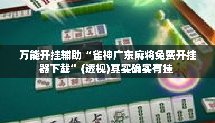 万能开挂辅助“雀神广东麻将免费开挂器下载”(透视)其实确实有挂 