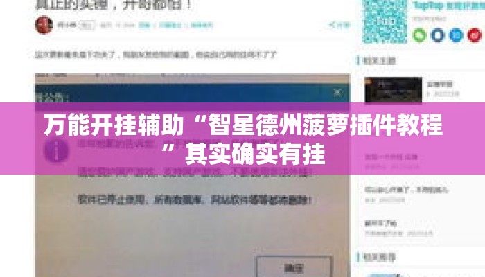 万能开挂辅助“智星德州菠萝插件教程”其实确实有挂