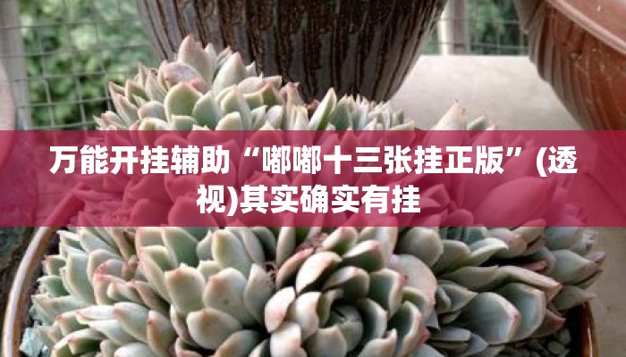 万能开挂辅助“嘟嘟十三张挂正版	”(透视)其实确实有挂 