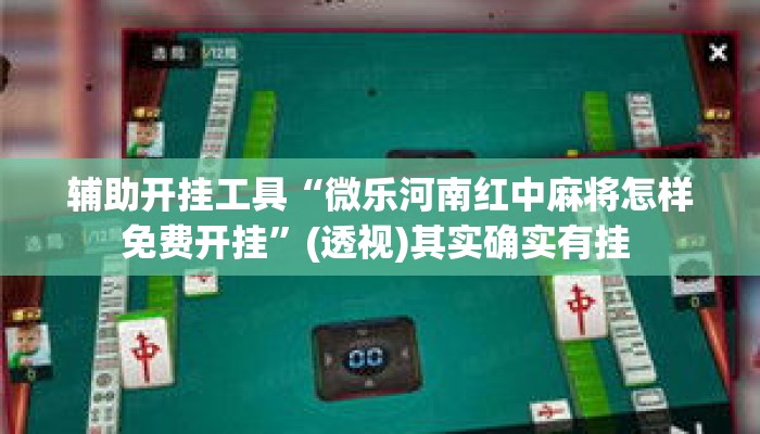 辅助开挂工具“微乐河南红中麻将怎样免费开挂”(透视)其实确实有挂 