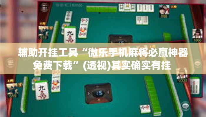 辅助开挂工具“微乐手机麻将必赢神器免费下载	”(透视)其实确实有挂 