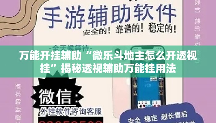 万能开挂辅助“微乐斗地主怎么开透视挂	”揭秘透视辅助万能挂用法