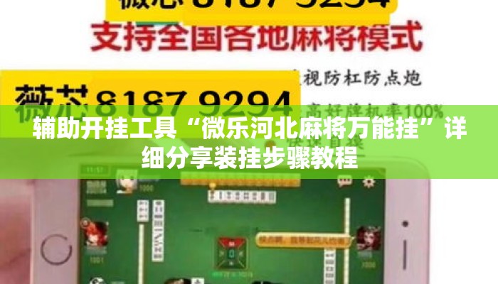 辅助开挂工具“微乐河北麻将万能挂”详细分享装挂步骤教程