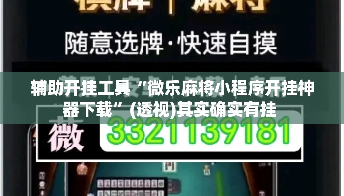辅助开挂工具“微乐麻将小程序开挂神器下载”(透视)其实确实有挂 