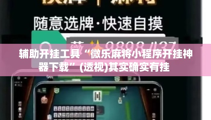 辅助开挂工具“微乐麻将小程序开挂神器下载”(透视)其实确实有挂 