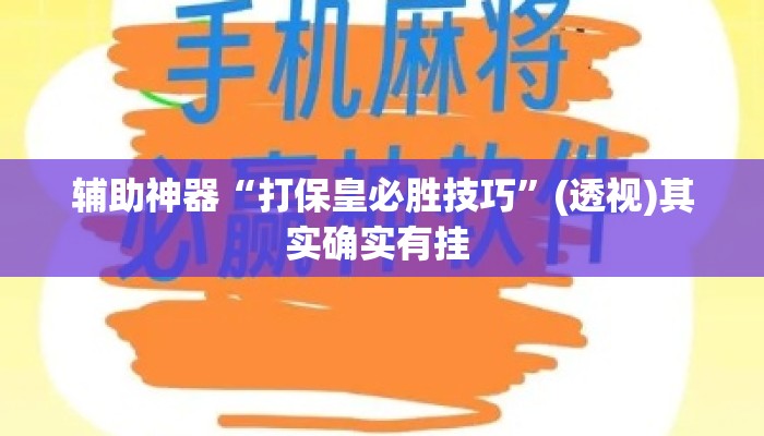 辅助神器“打保皇必胜技巧	”(透视)其实确实有挂 