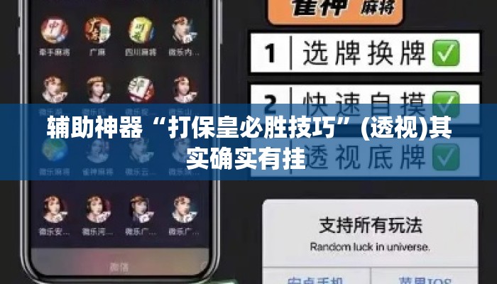 辅助神器“打保皇必胜技巧”(透视)其实确实有挂 