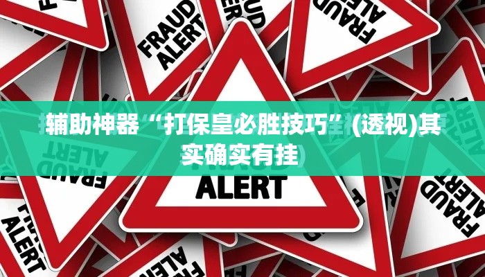 辅助神器“打保皇必胜技巧”(透视)其实确实有挂 