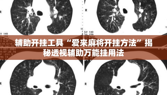 辅助开挂工具“爱来麻将开挂方法	”揭秘透视辅助万能挂用法