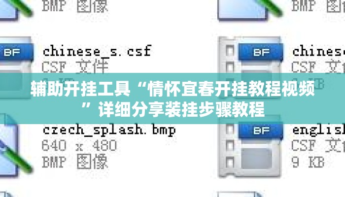 辅助开挂工具“情怀宜春开挂教程视频”详细分享装挂步骤教程