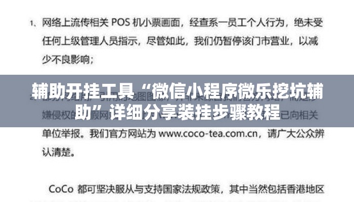 辅助开挂工具“微信小程序微乐挖坑辅助”详细分享装挂步骤教程
