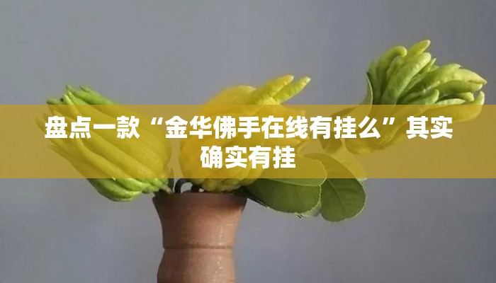 盘点一款“金华佛手在线有挂么”其实确实有挂
