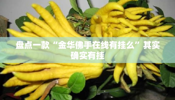 盘点一款“金华佛手在线有挂么	”其实确实有挂