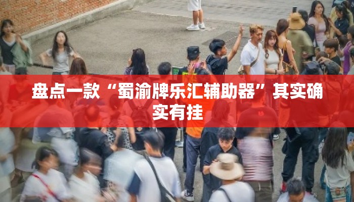 盘点一款“蜀渝牌乐汇辅助器”其实确实有挂