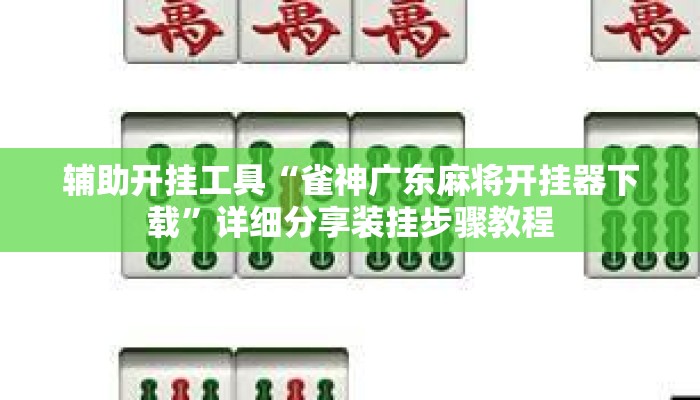 辅助开挂工具“雀神广东麻将开挂器下载”详细分享装挂步骤教程