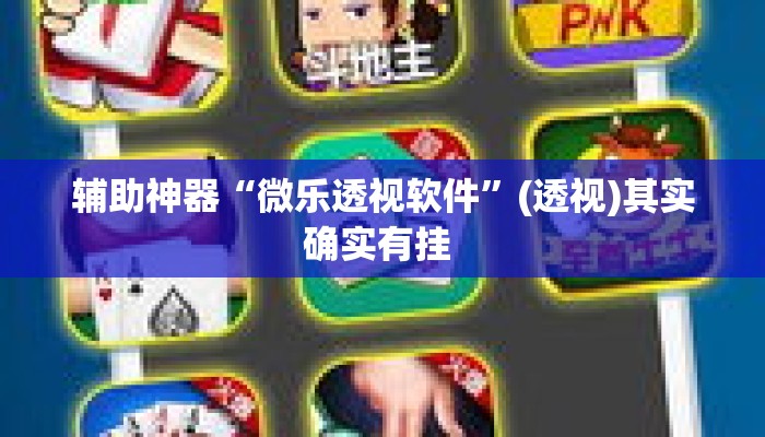 辅助神器“微乐透视软件	”(透视)其实确实有挂 