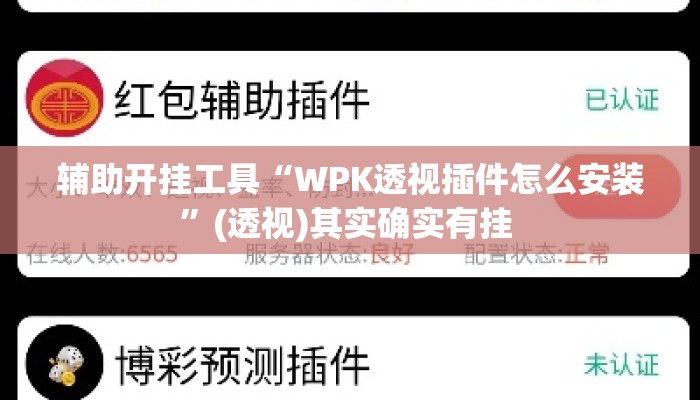 辅助开挂工具“WPK透视插件怎么安装”(透视)其实确实有挂 