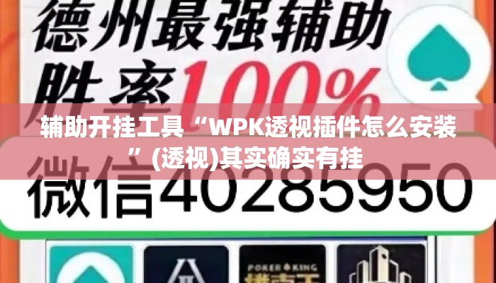 辅助开挂工具“WPK透视插件怎么安装”(透视)其实确实有挂 