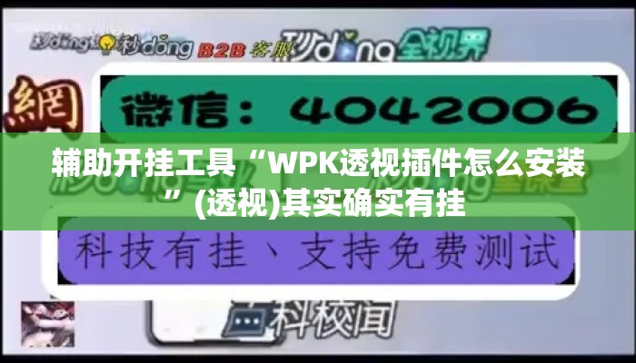 辅助开挂工具“WPK透视插件怎么安装”(透视)其实确实有挂 
